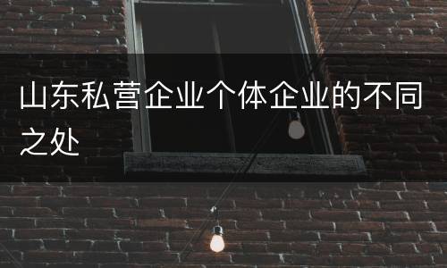 山东私营企业个体企业的不同之处