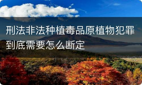 刑法非法种植毒品原植物犯罪到底需要怎么断定