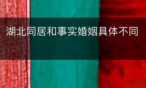 湖北同居和事实婚姻具体不同