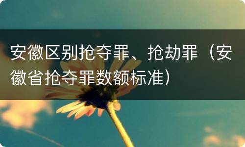 安徽区别抢夺罪、抢劫罪（安徽省抢夺罪数额标准）