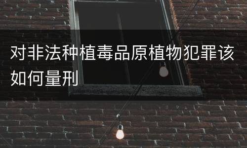 对非法种植毒品原植物犯罪该如何量刑