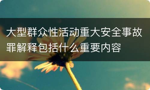 大型群众性活动重大安全事故罪解释包括什么重要内容