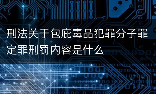 刑法关于包庇毒品犯罪分子罪定罪刑罚内容是什么