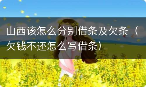 山西该怎么分别借条及欠条（欠钱不还怎么写借条）