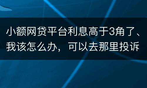 小额网贷平台利息高于3角了、我该怎么办，可以去那里投诉他们