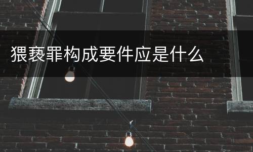 猥亵罪构成要件应是什么