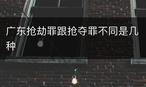 广东抢劫罪跟抢夺罪不同是几种