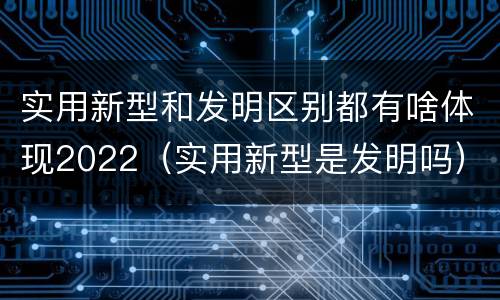 实用新型和发明区别都有啥体现2022（实用新型是发明吗）