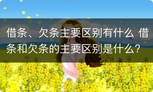 借条、欠条主要区别有什么 借条和欠条的主要区别是什么?