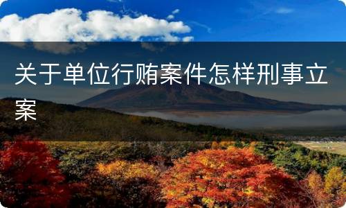 关于单位行贿案件怎样刑事立案