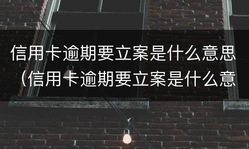 信用卡逾期要立案是什么意思（信用卡逾期要立案是什么意思呢）
