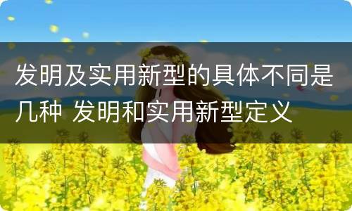 发明及实用新型的具体不同是几种 发明和实用新型定义