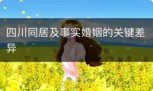 四川同居及事实婚姻的关键差异