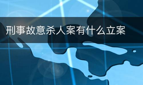 刑事故意杀人案有什么立案