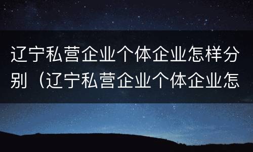 辽宁私营企业个体企业怎样分别（辽宁私营企业个体企业怎样分别认定）