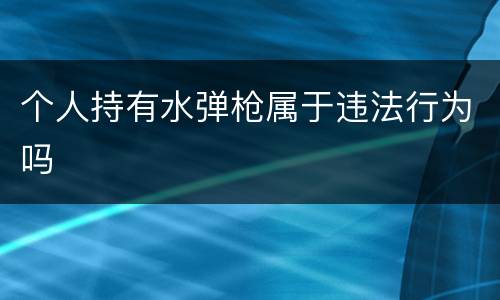 个人持有水弹枪属于违法行为吗