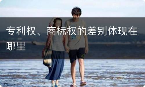 专利权、商标权的差别体现在哪里