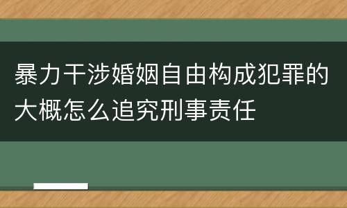 暴力干涉婚姻自由构成犯罪的大概怎么追究刑事责任