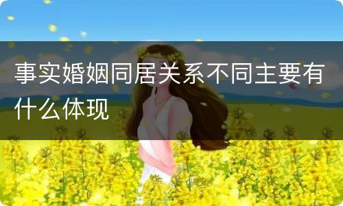 事实婚姻同居关系不同主要有什么体现