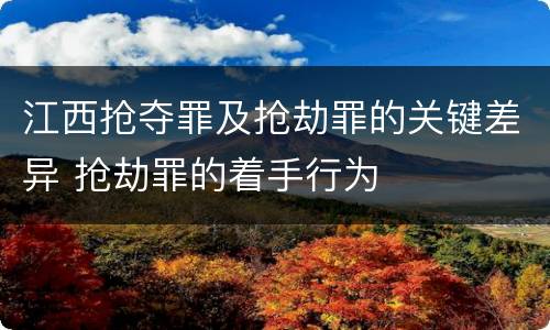 江西抢夺罪及抢劫罪的关键差异 抢劫罪的着手行为