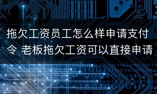 拖欠工资员工怎么样申请支付令 老板拖欠工资可以直接申请支付令吗