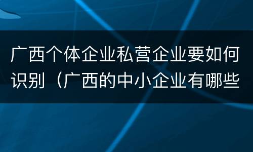 广西个体企业私营企业要如何识别（广西的中小企业有哪些）