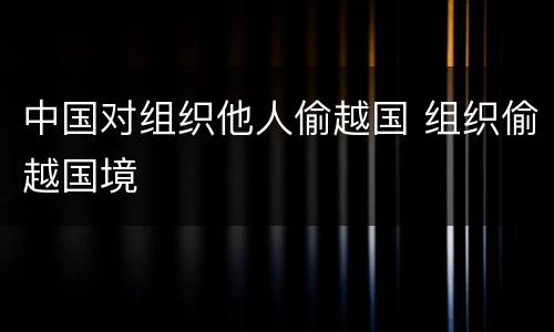 中国对组织他人偷越国 组织偷越国境