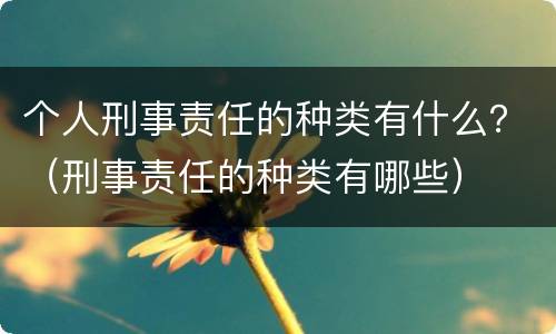 个人刑事责任的种类有什么？（刑事责任的种类有哪些）