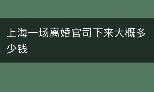 上海一场离婚官司下来大概多少钱