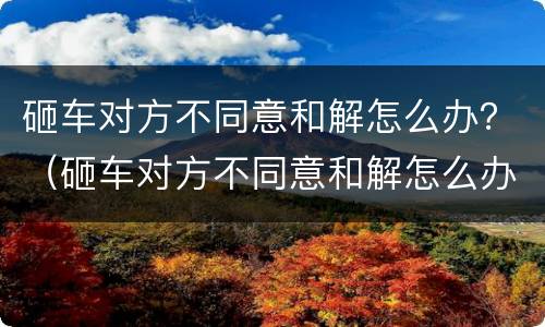 砸车对方不同意和解怎么办？（砸车对方不同意和解怎么办）