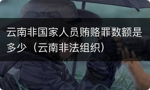 云南非国家人员贿赂罪数额是多少（云南非法组织）