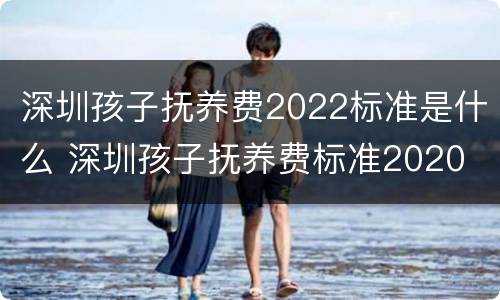 深圳孩子抚养费2022标准是什么 深圳孩子抚养费标准2020