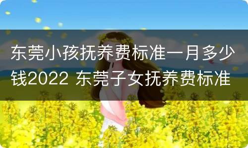 东莞小孩抚养费标准一月多少钱2022 东莞子女抚养费标准