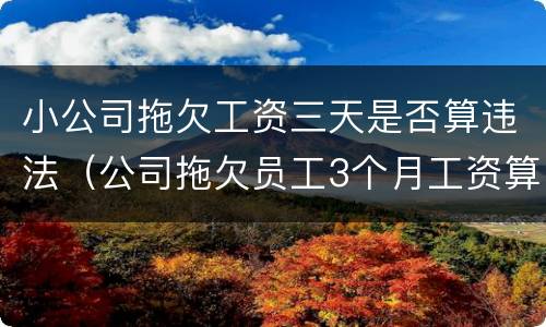 小公司拖欠工资三天是否算违法（公司拖欠员工3个月工资算不算违法?）
