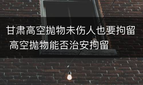 甘肃高空抛物未伤人也要拘留 高空抛物能否治安拘留