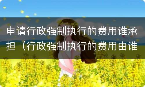 申请行政强制执行的费用谁承担（行政强制执行的费用由谁来承担）