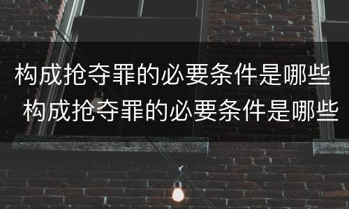 构成抢夺罪的必要条件是哪些 构成抢夺罪的必要条件是哪些呢