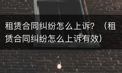 租赁合同纠纷怎么上诉？（租赁合同纠纷怎么上诉有效）