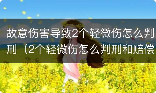 故意伤害导致2个轻微伤怎么判刑（2个轻微伤怎么判刑和赔偿）