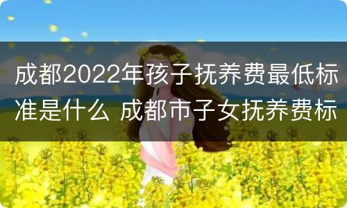 成都2022年孩子抚养费最低标准是什么 成都市子女抚养费标准