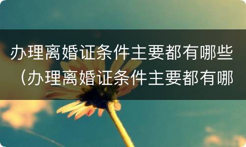 办理离婚证条件主要都有哪些（办理离婚证条件主要都有哪些要求）