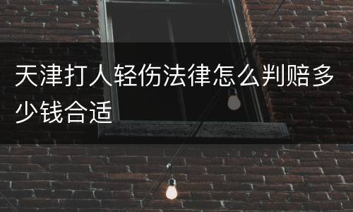 天津打人轻伤法律怎么判赔多少钱合适