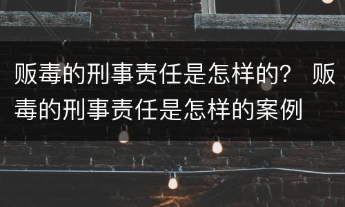 贩毒的刑事责任是怎样的？ 贩毒的刑事责任是怎样的案例