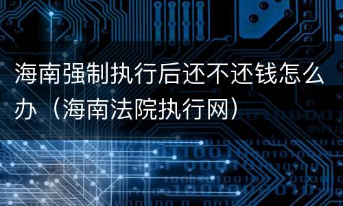海南强制执行后还不还钱怎么办（海南法院执行网）