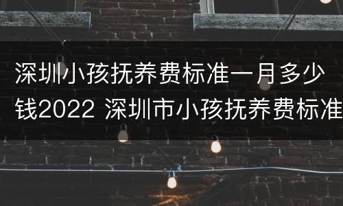 深圳小孩抚养费标准一月多少钱2022 深圳市小孩抚养费标准