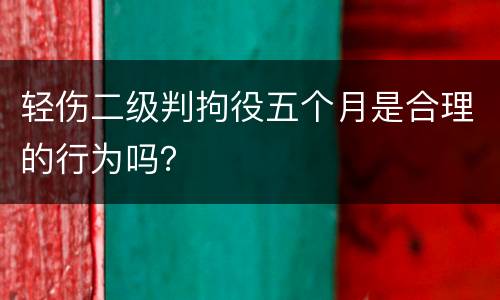 轻伤二级判拘役五个月是合理的行为吗？