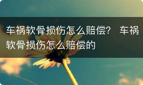 车祸软骨损伤怎么赔偿？ 车祸软骨损伤怎么赔偿的