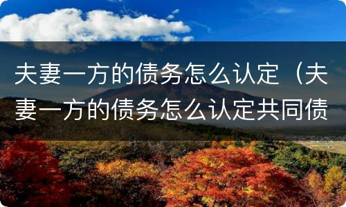 夫妻一方的债务怎么认定（夫妻一方的债务怎么认定共同债务）