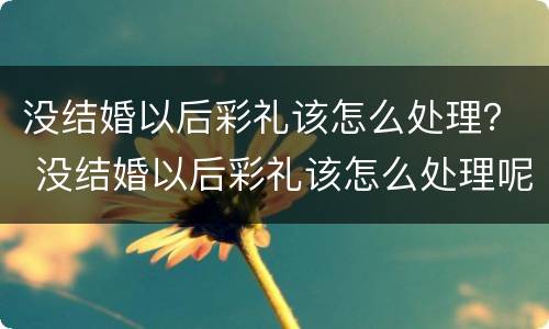 没结婚以后彩礼该怎么处理？ 没结婚以后彩礼该怎么处理呢