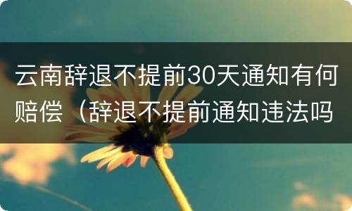 云南辞退不提前30天通知有何赔偿（辞退不提前通知违法吗）